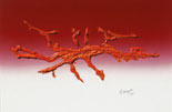 Fliegender Drache / Dragon Fly, Klebstoff auf Siebdruckkarton / adhesive on silk-screenprint, 96x74 cm