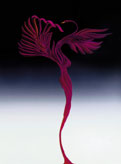 Leda